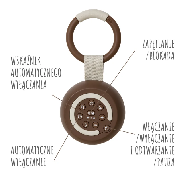 GR_ALILO_W1_K_6.png