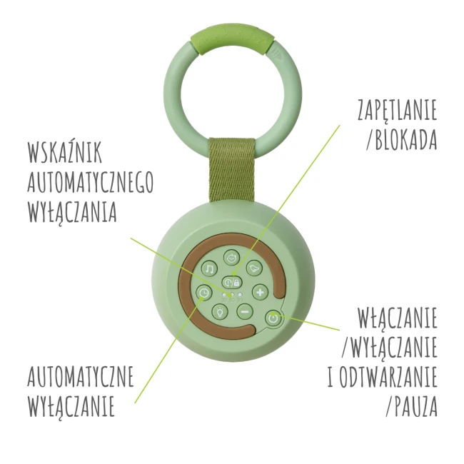 GR_ALILO_W1_A_6.png