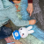 LF_ALILO_G7C_N_2.png