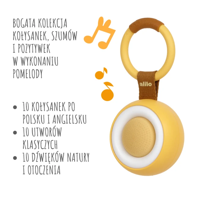 GR_ALILO_W1_M_3.png