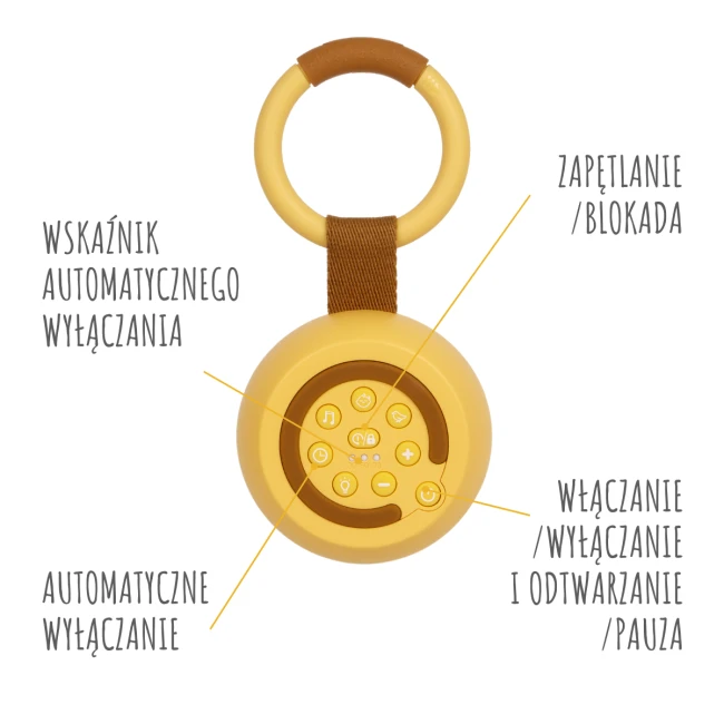 GR_ALILO_W1_M_6.png