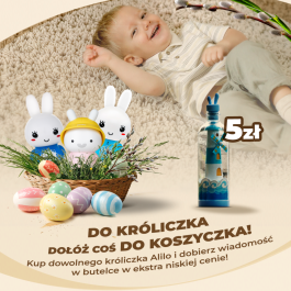 Wiadomość w butelce Alilo P6