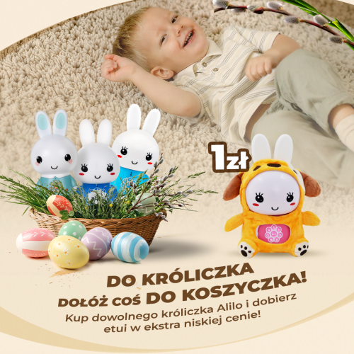 Etui na Alilo G6/G6PRO/G7C pomarańczowe (piesek)